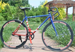 Xe Đạp Fixed Gear Mầu 3D