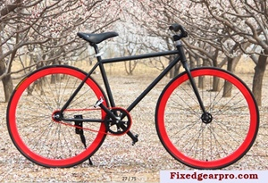 Xe Đạp Fixed Gear 5 Sao